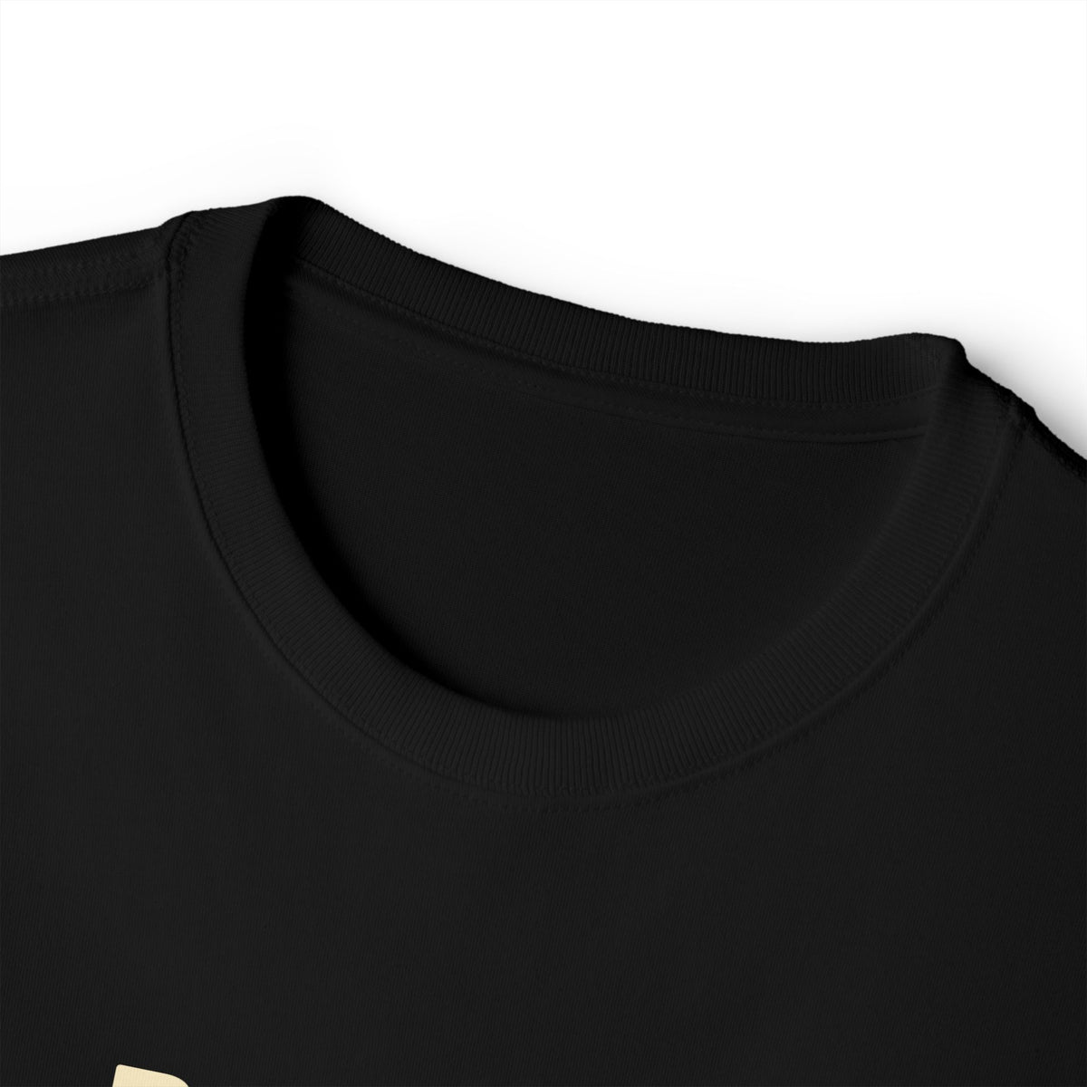 Phoenix Tribe Fitness Men's Relaxed Crew Tee - Dad Bod? Nah. DILF Energy